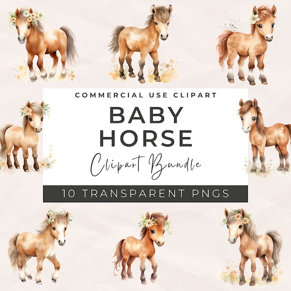 Watercolor Baby Horse Clipart Bundle - Watercolor Horse, Baby Animals, Western Clipart, Farm Animals PNG, Cute Horses Images