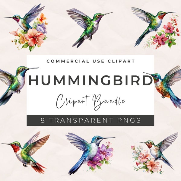 Humming Bird Watercolor Bird Clipart - Hummingbird PNG, Cute Colorful Bird PNG, Nursery Decor, Baby Shower Clipart, Digital Paper Craft