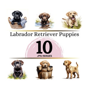 Labrador Retriever Puppies - 10 High Quality JPGs - Digital Download - Card Making, Mixed Media, Digital Paper Craft