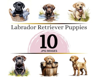 Labrador Retriever Welpen Clipart: 10 JPG Bilder (Digitaler Download)