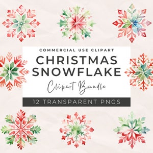 Watercolor Christmas Snowflake Clipart - Snowflakes Christmas Clipart Silver Snowflake PNG, Winter Snowflake PNG, Instant Download