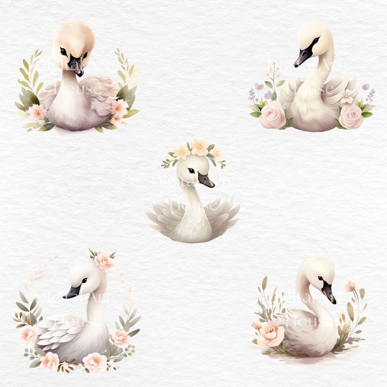 Watercolor Baby Swan Clipart: Floral Swan PNG (commercial Use) - Etsy