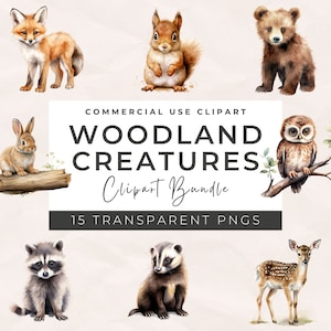 Clipart de animais da floresta em aquarela, uso comercial, PNGs transparentes, clipart de berçário, raposa, urso, veado, ouriço, guaxinim