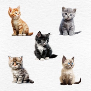 Pu&ograve; includere: Cinque illustrazioni di adorabili gattini in vari colori: arancione tigrato, grigio, bianco e nero, marrone tigrato e beige con occhi blu. Ogni gattino &egrave; seduto, con un'espressione curiosa, su sfondo bianco. Arte digitale.