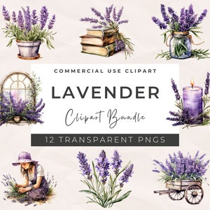 Clipart di lavanda ad acquerello, PNG di primavera floreale provenzale, ghirlande di lavanda ad acquerello, Clipart di primavera ad acquerello, Clipart botanica
