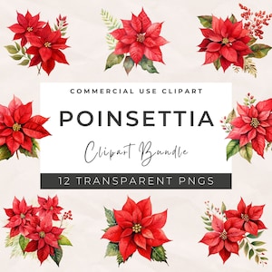 Puede incluir: Un conjunto de 12 imágenes de clipart de acuarela de flores de poinsettia rojas con hojas verdes. Las imágenes son perfectas para crear diseños, tarjetas e invitaciones con temática navideña.  COMMERCIAL USE CLIPART POINSETTIA Clipart Bundle 12 TRANSPARENT PNGS