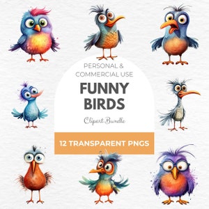 Paquete de imágenes prediseñadas de pájaros divertidos de acuarela: ilustraciones de pájaros extravagantes y divertidas, elementos caprichosos, granja divertida, uso comercial, libro de chatarra
