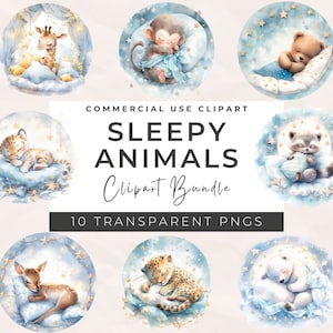 Aquarell schlafende Baby-Tiere - Kinderzimmer Tiere PNG, druckbare schläfrige Tiere Kunst, schlafende Tiere Clipart, kommerzielle Nutzung