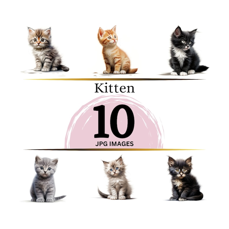 May include: Ten digital images of adorable kittens in various poses. The kittens are all different colors and breeds, including gray, orange, and black and white. The images are high quality and would be perfect for use in a variety of projects.