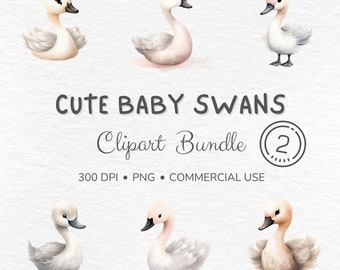 Watercolor Baby Swan Clipart: PNG Graphics (Commercial Use)