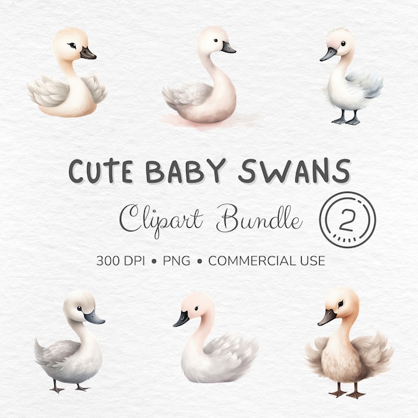 Watercolor Baby Swan Clipart - Swan Clip Art PNG, Cute Swan Clipart, Baby Swan, Bird Clipart, Swan Baby Shower, Commercial Use, Scrap Book