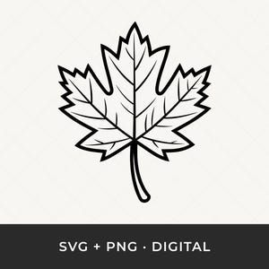 Autumn Leaf Svg, Decorative Elements, Maple Leaf Cut File, Seasonal Clipart, Maple Leaf Svg, Maple Laser Cut, Leaf Outline, Leaf Svg, Maple