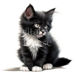 May include: A black and white kitten with white fur on its chest and paws sits on a white background. The kitten has green eyes and is looking to the right.