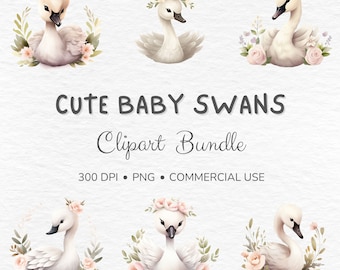 Watercolor Baby Swan Clipart: Floral Swan PNG (Commercial Use)