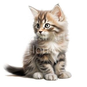 May include: A fluffy, brown and white tabby kitten sitting on a white background. The kitten has green eyes and is looking to the left of the image.
