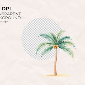 May include: A watercolor illustration of a palm tree with coconuts on a white background. The palm tree is green and brown and has a tropical feel.