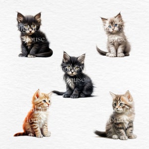 Pu&ograve; includere: Cinque illustrazioni di adorabili gattini. I gattini hanno una pelliccia soffice in vari colori, tra cui nero, grigio, arancione e marrone. Ogni gattino &egrave; seduto e guarda avanti, con occhi e texture della pelliccia dettagliate.