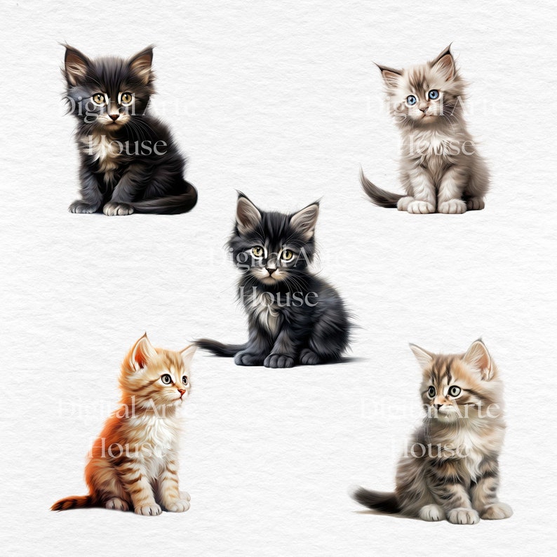 Pu&ograve; includere: Cinque illustrazioni di adorabili gattini. I gattini hanno una pelliccia soffice in vari colori, tra cui nero, grigio, arancione e marrone. Ogni gattino &egrave; seduto e guarda avanti, con occhi e texture della pelliccia dettagliate.