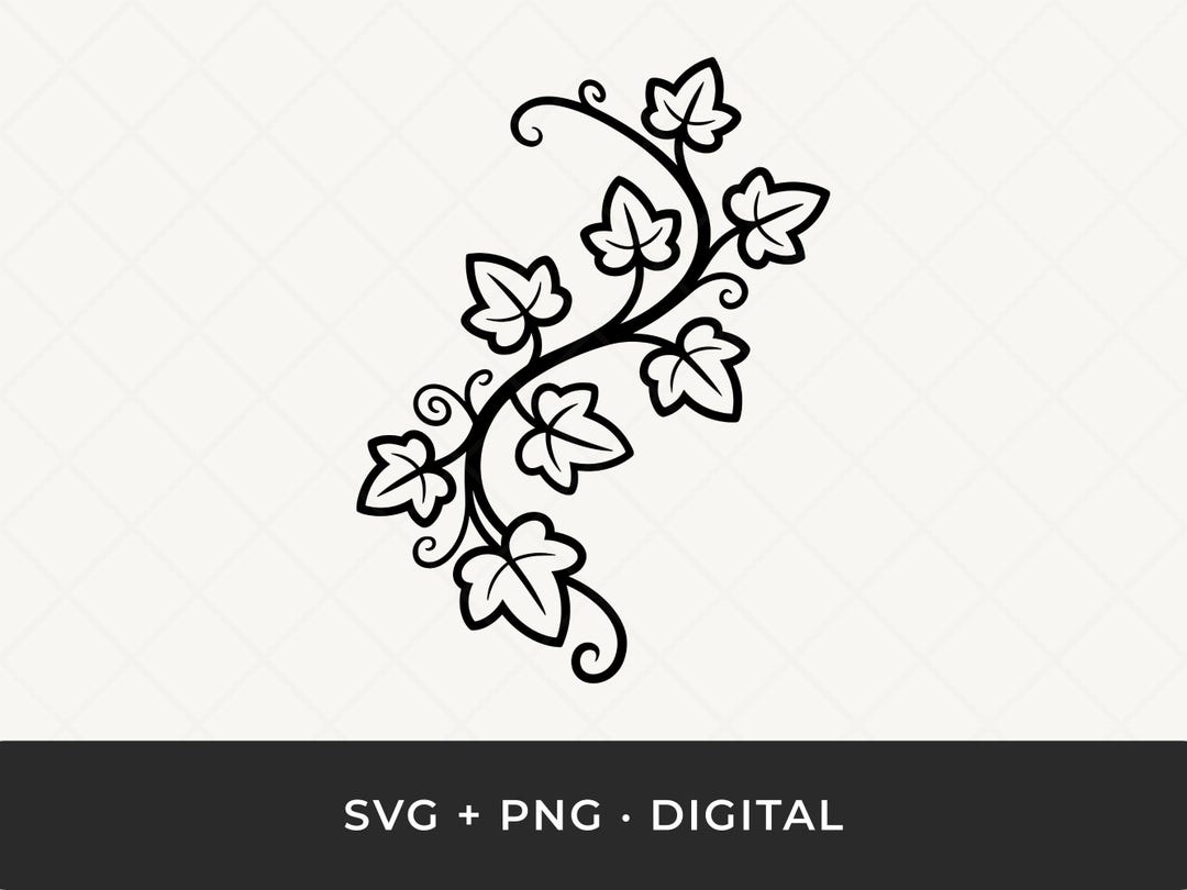 Ivy Branch SVG: Botanical Vine Outline Cut File for Cricut - Etsy