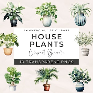 Imágenes prediseñadas de plantas de interior en acuarela: vegetación y follaje en acuarela, plantas en macetas, imágenes prediseñadas de monstera, descarga instantánea