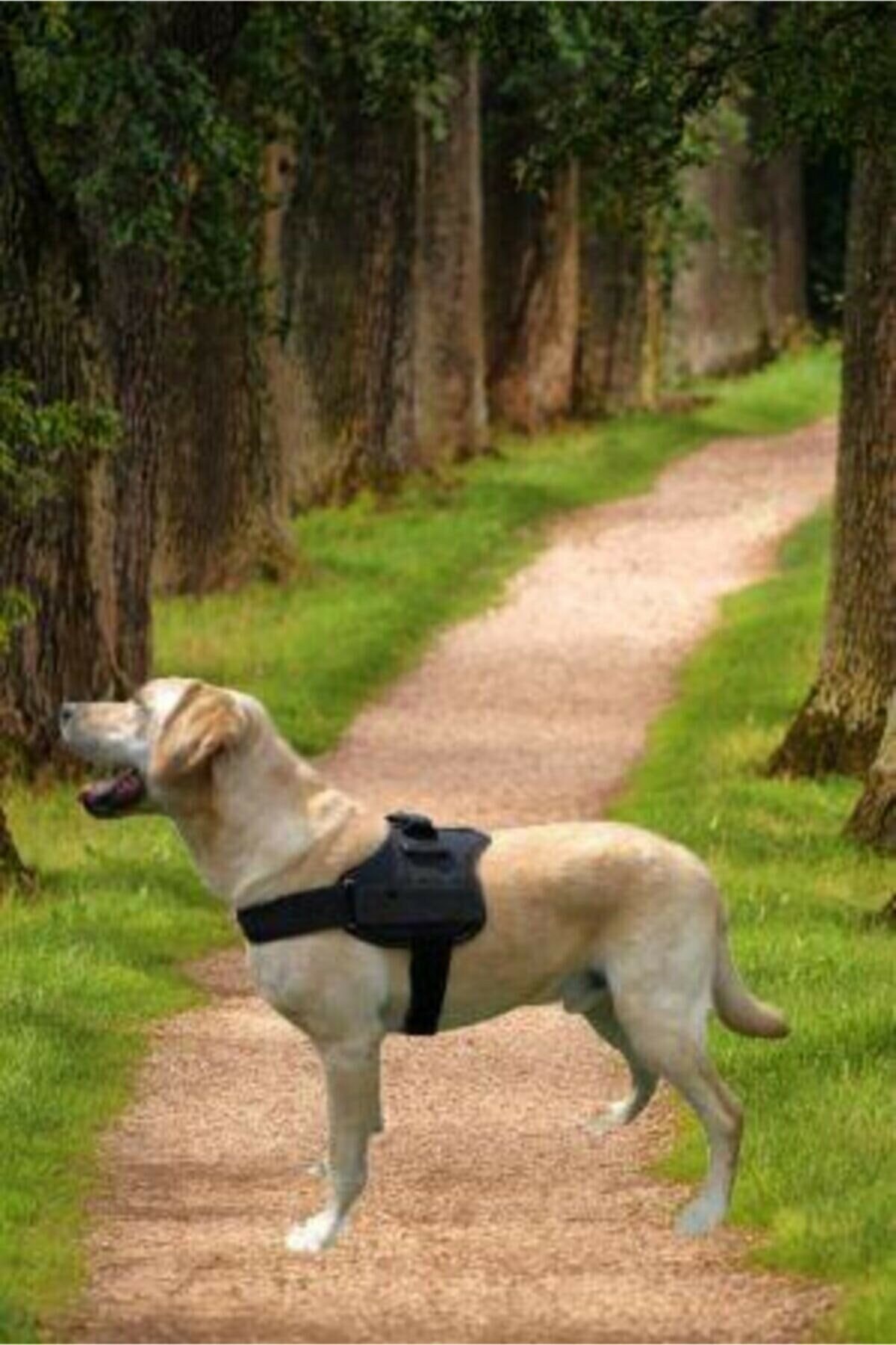 Dog Collar Large Breed Dog Collar Dog Police K9 Leash Etsy