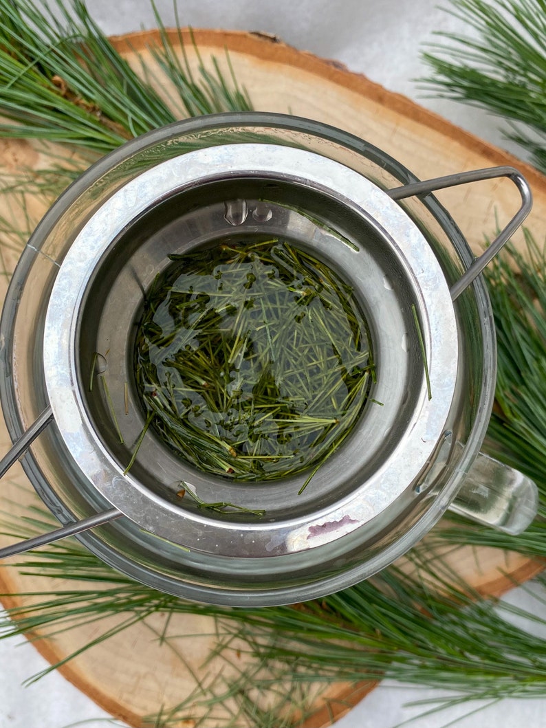 Eastern White Pine Needle Tea, Dried Pine Needles Local Tea, 2021 Tea, Herbal Tea Gift Etsy
