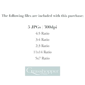 Pu&ograve; includere: Testo che recita "I seguenti file sono inclusi in questo acquisto: 5 JPG | 300 dpi 4:5 Ratio 3:4 Ratio 2:3 Ratio 11x14 Ratio 5x7 Ratio" e un logo che recita "Grasshopper Prints".