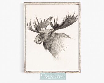 Moose Print, Vintage Drawing, Antique Forest Animal Sketch, PRINTABLE Wall Art Decor, Digital DOWNLOAD