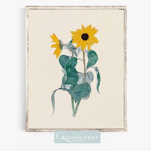 Vintage Sunflower Print, Botanical Wall Art, Antique Flower Watercolour, PRINTABLE Decor, Digital DOWNLOAD