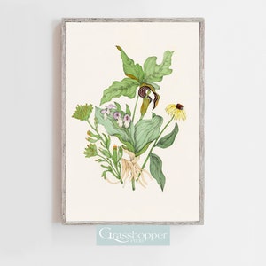 Vintage Wildflowers Print, Botanical Floral Printable, Watercolour Flowers, Antique Wall Art, DIGITAL DOWNLOAD