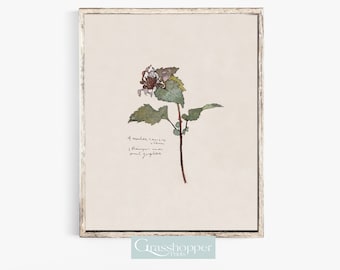 Watercolour Flower Print, Vintage Botanical Artwork, Plant Illustration, PRINTABLE Wall Art, DIGITAL DOWNLOAD