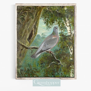 Vintage Bird Prints, Dove Painting, Farmhouse Decor, PRINTABLE Wall Art, Digital DOWNLOAD