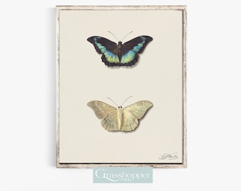 Butterfly Illustration Print, Vintage Butterflies, PRINTABLE Wall Art, Digital DOWNLOAD