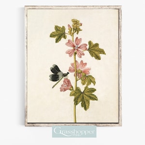 Vintage Druck, Blumen Illustration, antike Libelle Zeichnung, DRUCKBARE Wandkunst, DIGITAL DOWNLOAD