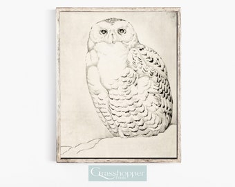 May include: A black and white illustration of a snowy owl with a detailed depiction of its feathers. The owl is perched on a snowy branch, with its head turned slightly to the side.