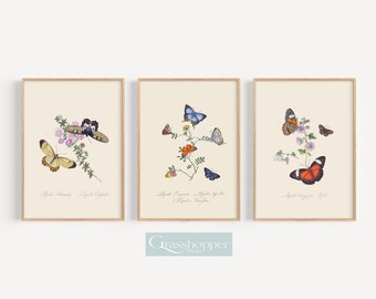 Vintage Butterfly Prints, Botanical Illustrations, Gallery Set of 3, Boho Wall Art, PRINTABLE Decor, DIGITAL DOWNLOAD