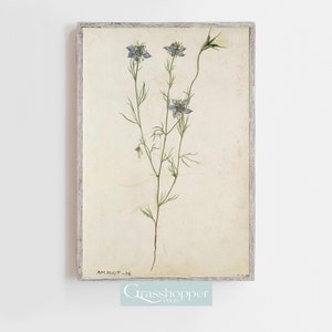 Vintage Botanical Illustration, Antique Wildflower Drawing, Floral Prints, PRINTABLE Wall Art, DIGITAL DOWNLOAD