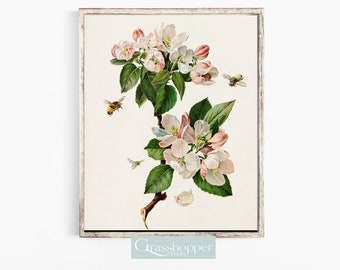 Apple Blossom Print, Antique Botanical Wall Art, Vintage Bee Artwork, Floral Illustration, Flower PRINTABLE, DIGITAL DOWNLOAD