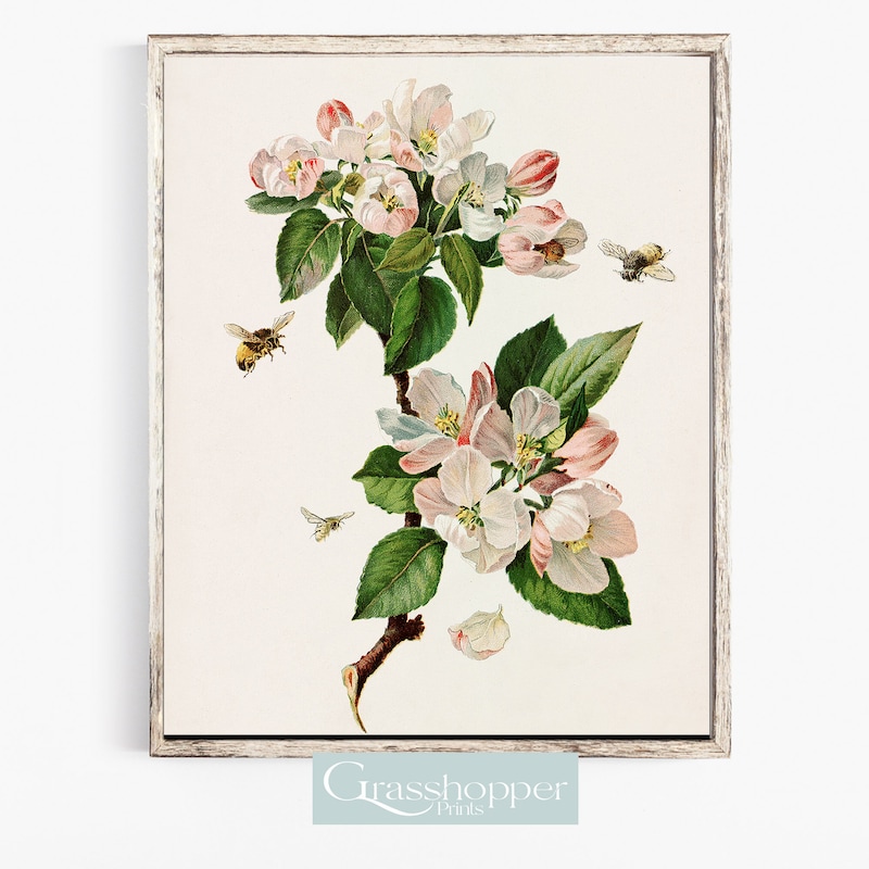 Apple Blossom Print - Etsy