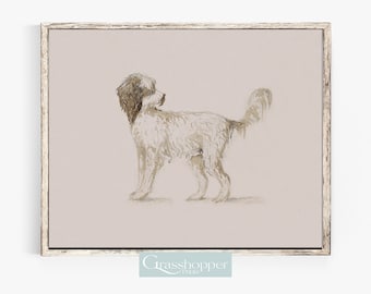 アンティーク絵画 1900年 イギリス 犬 カラー アンティーク絵画 1900年 イギリス 犬 カラー イギリス 1900年代