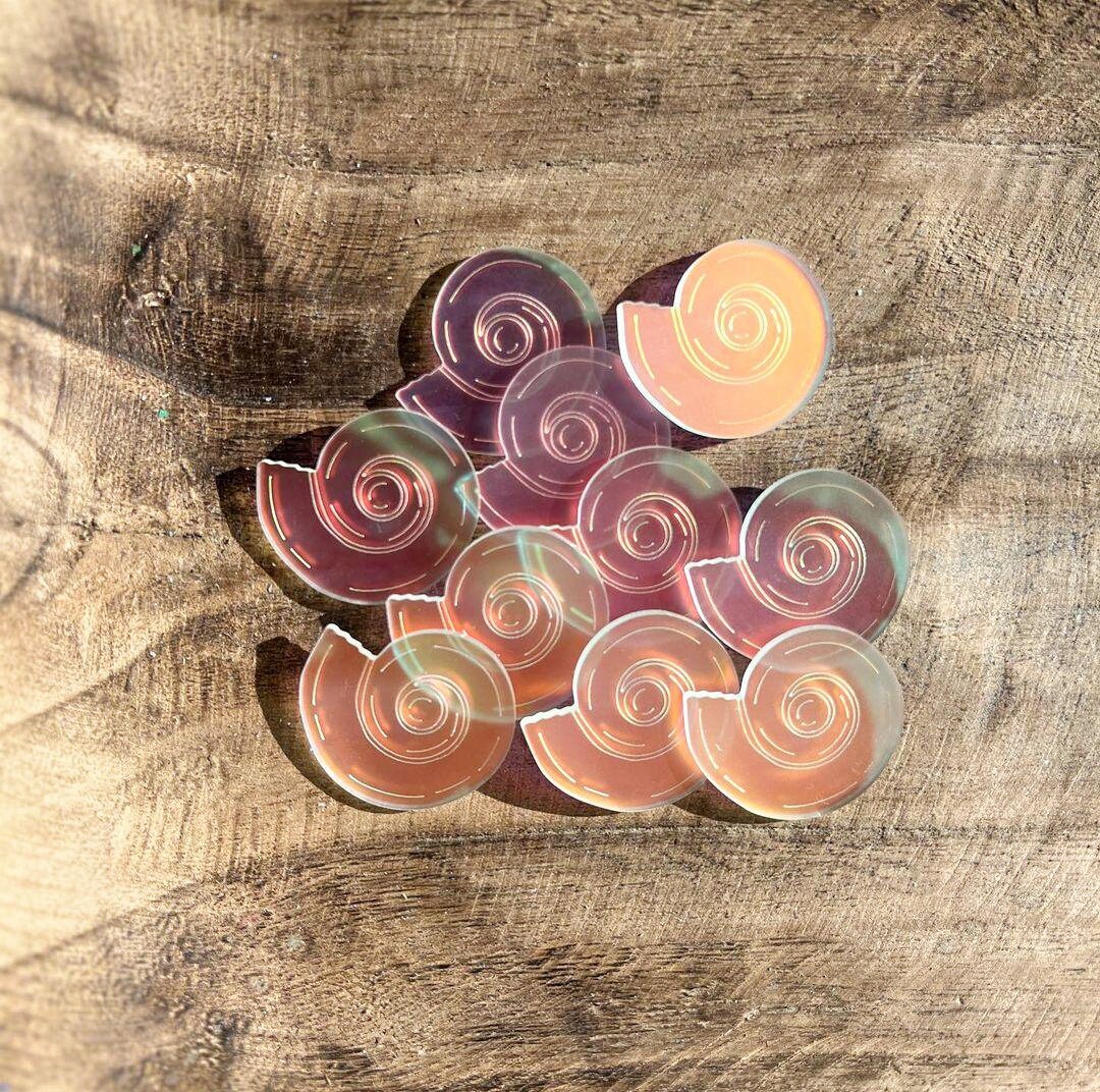 Seashell Play Iridescent Seashell Sensory Play Set - Beach Inspired Loose Parts - Etsy