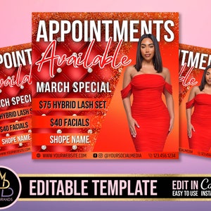 Editable Social Media Flyer Lash Lashes Canva, DIY Appointments Available Flyer, appointment, Promo Flyer, Lash Appointments Mink Lashes