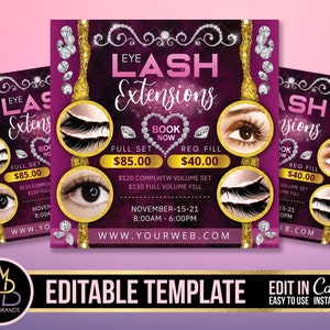 Editable Social Media Flyer Canva, DIY Appointment Available Flyer, appointment FLYER, Promo Flyer, Beauty, lash extensions Business Flyer