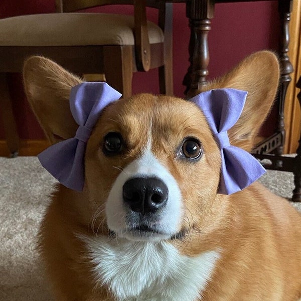 Two bows head bow for dogs