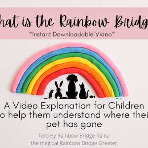 Pet Loss Video Explaining the Rainbow Bridge for a Child