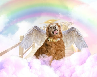 Custom Rainbow Bridge Pet Memorial Photo