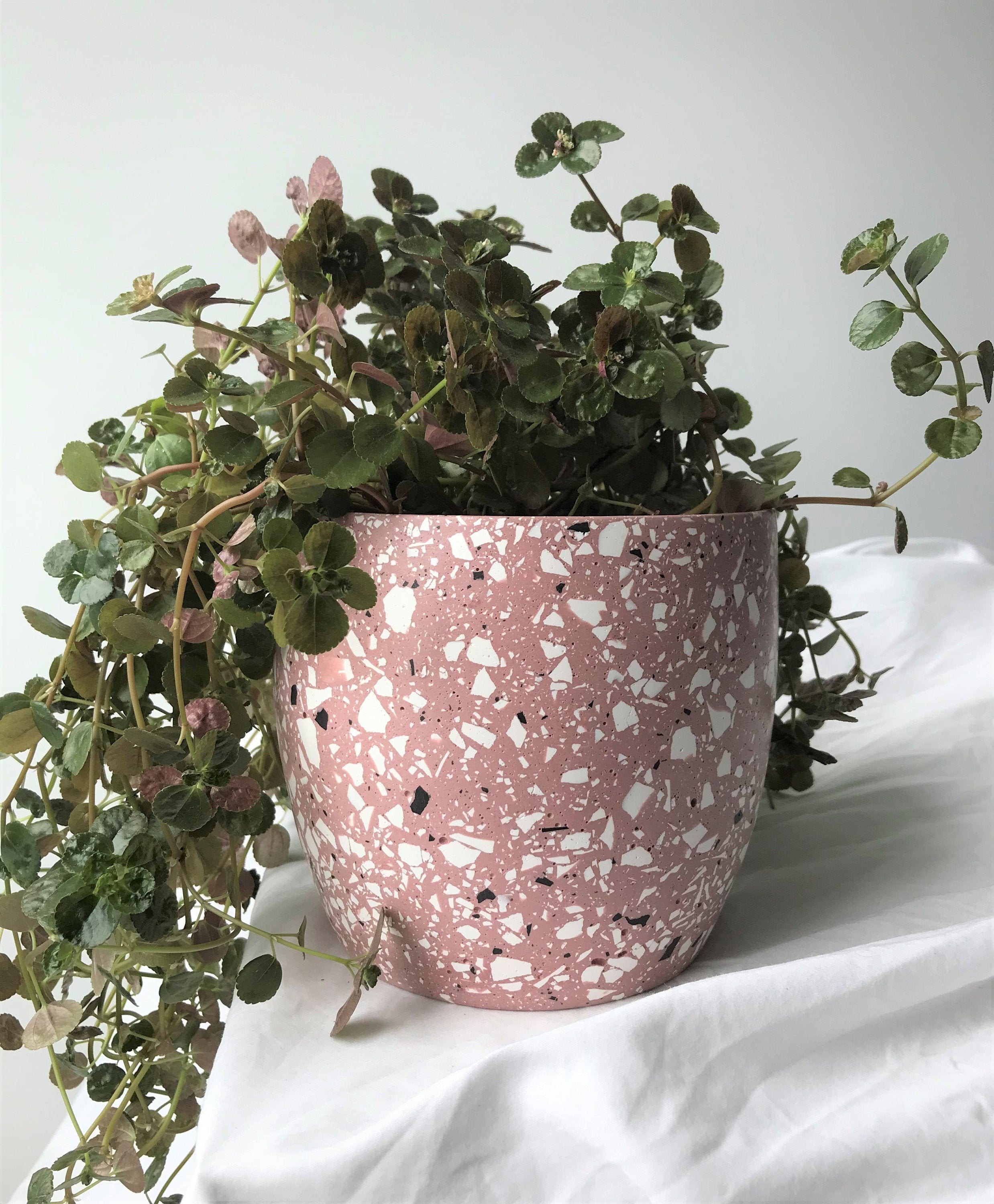 56 Dirty Pink Terrazzo Plant Pot Eco Friendly Indoor Etsy