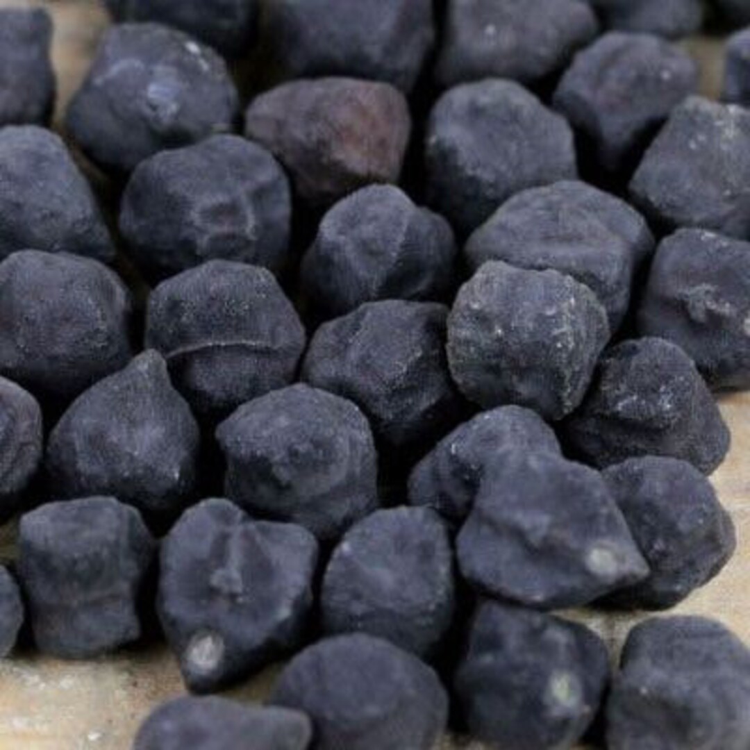 Kabouli Black Garbanzo Beans Etsy
