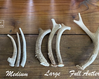 1 LB Bargain Bag Of Whole Deer Antler Dog Chews – Mix Of Medium/Large Pieces, Free Shipping