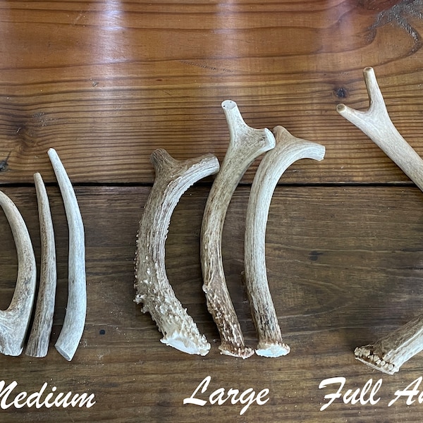 Texas Premium Deer Antler Dog Chews! | All Natural | Organic Dog Treats | USA Sourced | Healthy Dog Chews | Grade A Deer Antlers